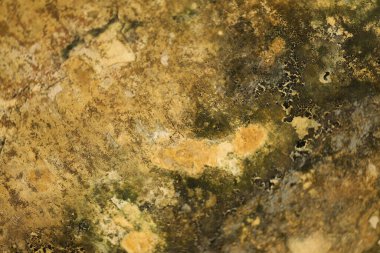 Vintage bir duvardaki eski boya