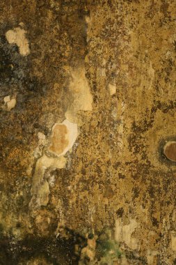 Vintage bir duvardaki eski boya