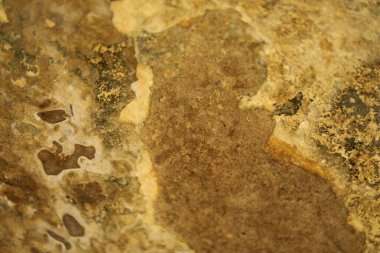 Vintage bir duvardaki eski boya