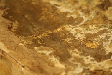 Vintage bir duvardaki eski boya