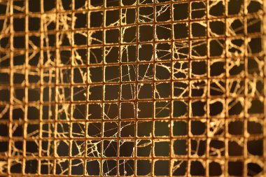 Eski Metal Ağ 'da Örümcek Ağı