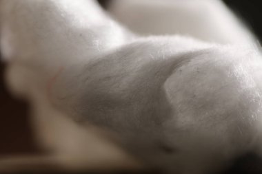 Doğal Ham Pamuk Stüdyosu