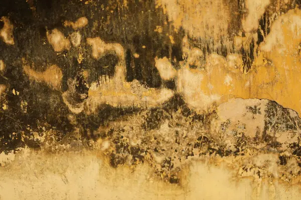 stock image Old Paint on a Vintage wall