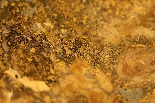 Vintage bir duvardaki eski boya