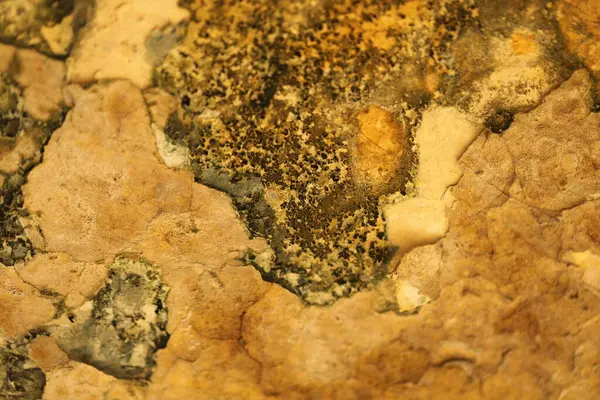 Vintage bir duvardaki eski boya