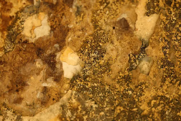 Vintage bir duvardaki eski boya