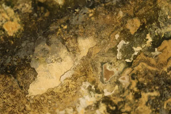 Vintage bir duvardaki eski boya