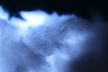 Moonlight Stüdyosunda Doğal Çiğ Pamuk