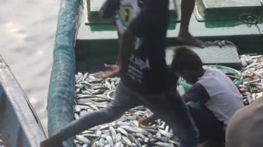 Balıkçılar 5 Şubat 2025 Kakinada Andhra Pradesh Hindistan Limanı 'nda kayıkta balık tutuyorlar.