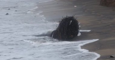 Sahildeki dalgalı deniz dalgaları