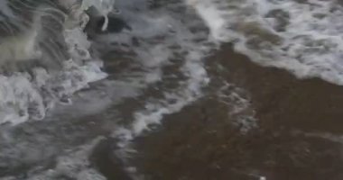 Sahildeki dalgalı deniz dalgaları