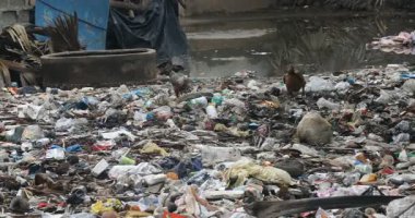 5 Aralık 2024 'te Kakinada ve Pradesh Hindistan sahillerindeki çöplük.