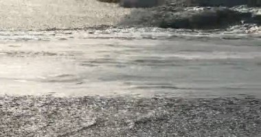 Sahildeki dalgalı deniz dalgaları