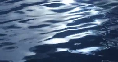 Ay Işığında Su Dalgaları