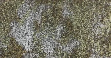 Hasarlı Vintage Duvardaki Eski Boya