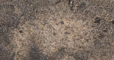 Kumsaldaki kum dokusu