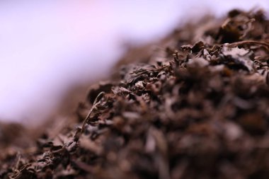 Kurutulmuş Gri Marihuana Satmak için Yapraklar