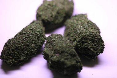 Satılık yeşil kurutulmuş kenevir tomurcukları