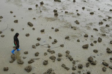 30 Mayıs 2025 'te Bangkok Tayland denizinde deniz topuğu toplayan balıkçılar