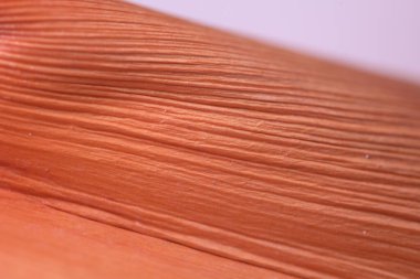 Ormanda kurutulmuş yaprak dokusu