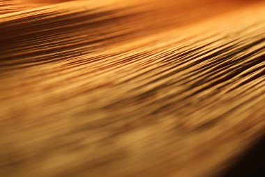 Hint Tıbbı Kuru Yaprak dokusu