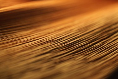 Hint Tıbbı Kuru Yaprak dokusu