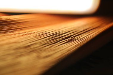 Hint Tıbbı Kuru Yaprak dokusu