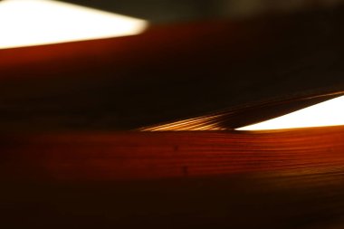 Hint Tıbbı Kuru Yaprak dokusu