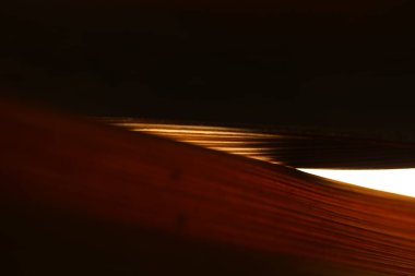 Hint Tıbbı Kuru Yaprak dokusu