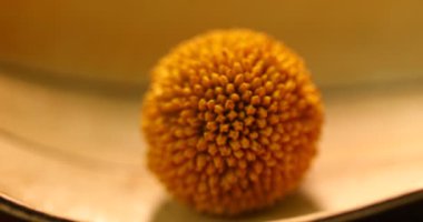 Stüdyoda Hint Tıbbı Kuru Meyve