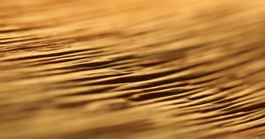 Stüdyo çekiminde Kuru Yaprak Dokusu