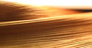 Stüdyo çekiminde Kuru Yaprak Dokusu