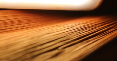 Stüdyo çekiminde Kuru Yaprak Dokusu