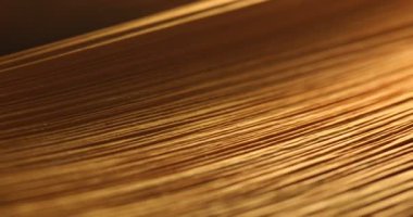 Stüdyo çekiminde Kuru Yaprak Dokusu