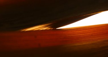 Stüdyo çekiminde Kuru Yaprak Dokusu