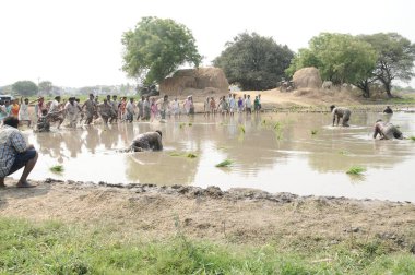 Haydarabad Harekât Savaşçıları 9 Temmuz 2025