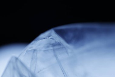 Saydam Kağıt Siluet Makro çekim