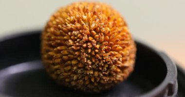 Stüdyoda Hint Tıbbı Kuru Meyve