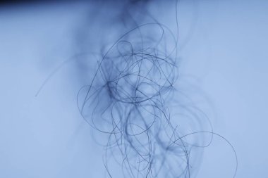 Ayışığı tarafından aydınlatılan Makro Saç Çekimi