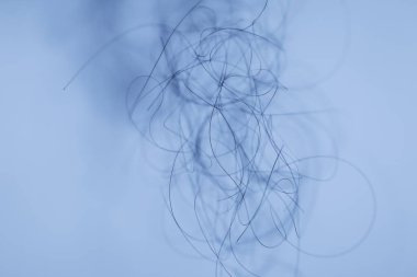 Ayışığı tarafından aydınlatılan Makro Saç Çekimi