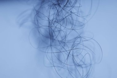 Ayışığı tarafından aydınlatılan Makro Saç Çekimi