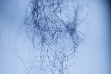 Ayışığı tarafından aydınlatılan Makro Saç Çekimi