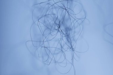 Ayışığı tarafından aydınlatılan Makro Saç Çekimi