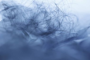 Ayışığı tarafından aydınlatılan Makro Saç Çekimi