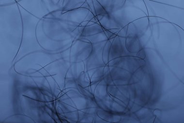 Ayışığı tarafından aydınlatılan Makro Saç Çekimi