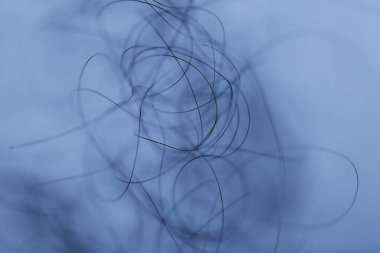 Ayışığı tarafından aydınlatılan Makro Saç Çekimi