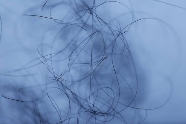 Ayışığı tarafından aydınlatılan Makro Saç Çekimi