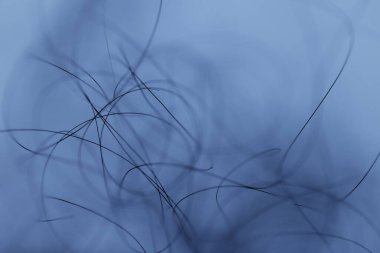 Ayışığı tarafından aydınlatılan Makro Saç Çekimi