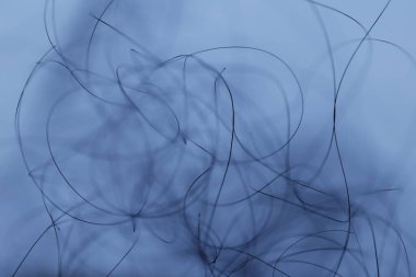 Ayışığı tarafından aydınlatılan Makro Saç Çekimi