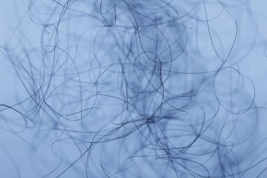 Ayışığı tarafından aydınlatılan Makro Saç Çekimi